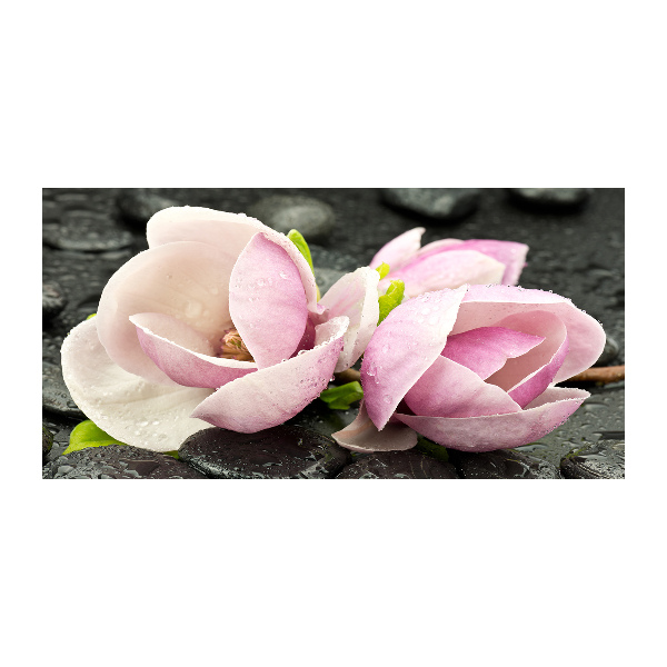 Fotografie imprimată pe sticlă Magnolia Zen Piatra