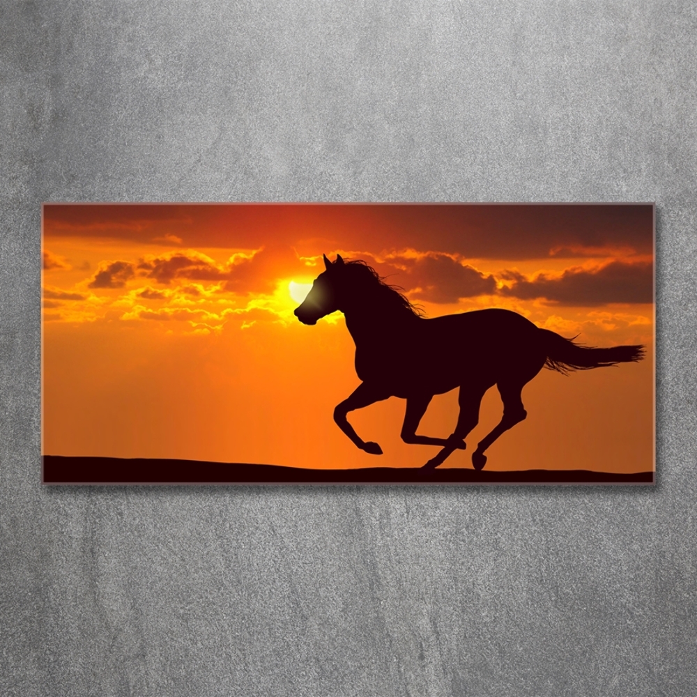 Imagine de sticlă apus de soare cal