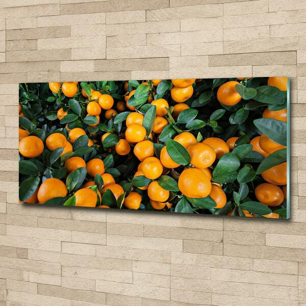 Tablou pe pe sticlă mandarine