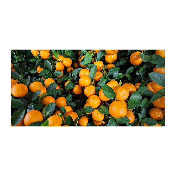 Tablou pe pe sticlă mandarine