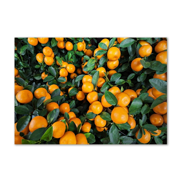 Tablou pe pe sticlă mandarine
