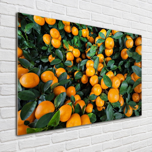 Tablou pe pe sticlă mandarine