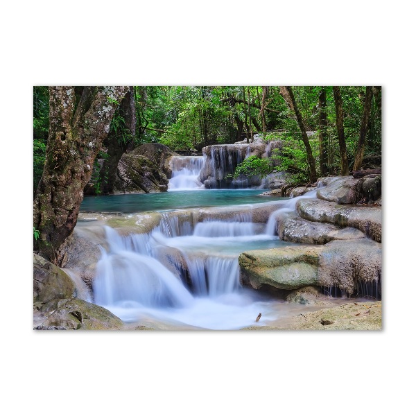 Tablou sticlă Cascade în pădure