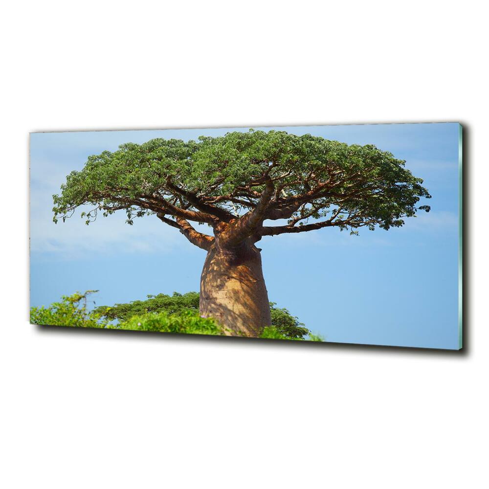 Tablou sticlă Baobab
