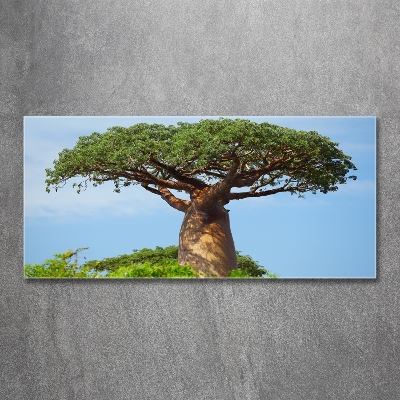 Tablou sticlă Baobab