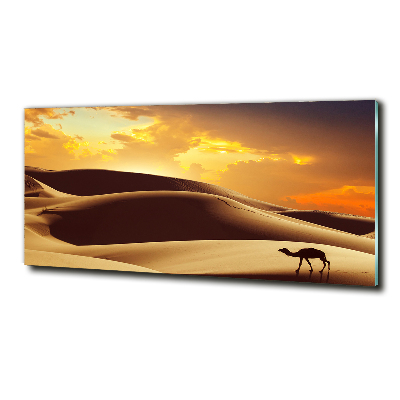 Tablou pe pe sticlă cămilă Sahara