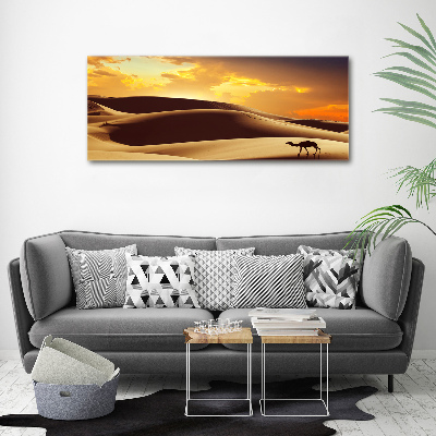 Tablou pe pe sticlă cămilă Sahara