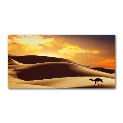Tablou pe pe sticlă cămilă Sahara