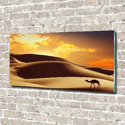 Tablou pe pe sticlă cămilă Sahara