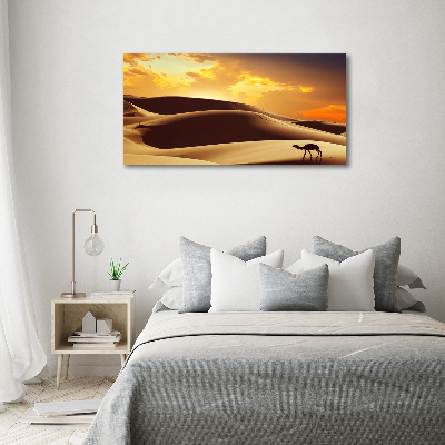Tablou pe pe sticlă cămilă Sahara