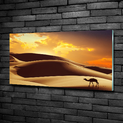 Tablou pe pe sticlă cămilă Sahara
