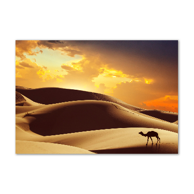 Tablou pe pe sticlă cămilă Sahara