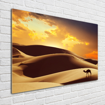 Tablou pe pe sticlă cămilă Sahara