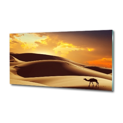 Tablou pe pe sticlă cămilă Sahara