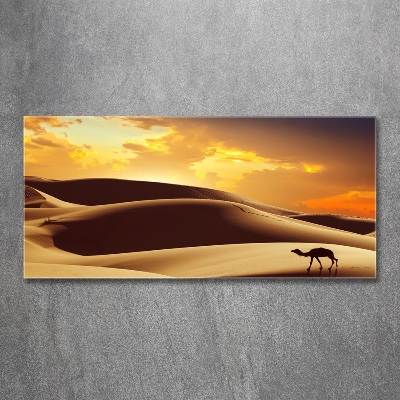 Tablou pe pe sticlă cămilă Sahara