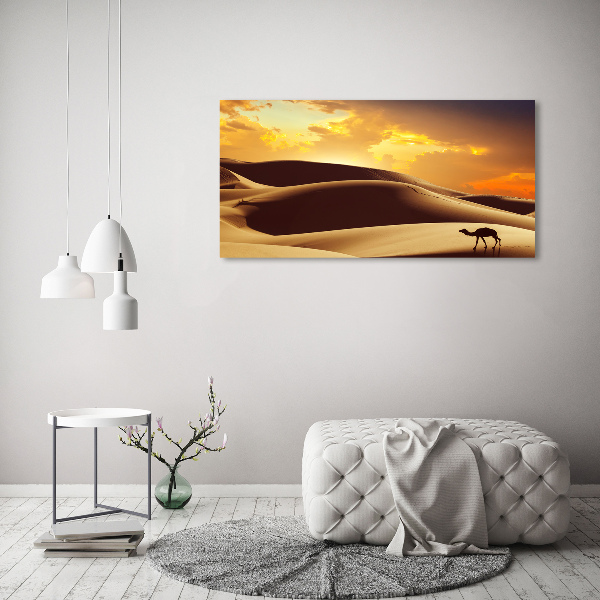Tablou pe pe sticlă cămilă Sahara