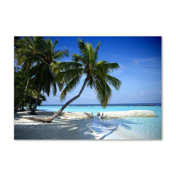 Tablou sticlă plaja tropicala