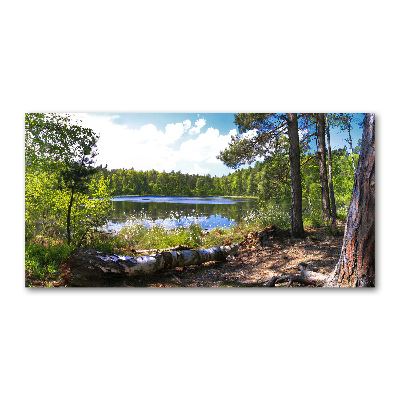 Imagine de sticlă Panorama de pădure