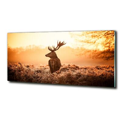 Fotografie imprimată pe sticlă Sunrise Deer