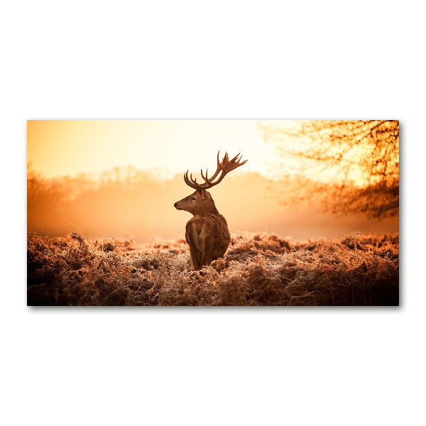 Fotografie imprimată pe sticlă Sunrise Deer