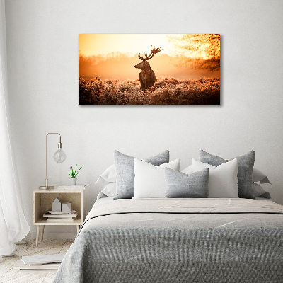 Fotografie imprimată pe sticlă Sunrise Deer