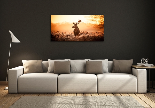 Fotografie imprimată pe sticlă Sunrise Deer