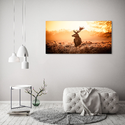 Fotografie imprimată pe sticlă Sunrise Deer