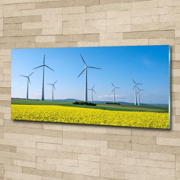 Tablou sticlă Windmills pe teren