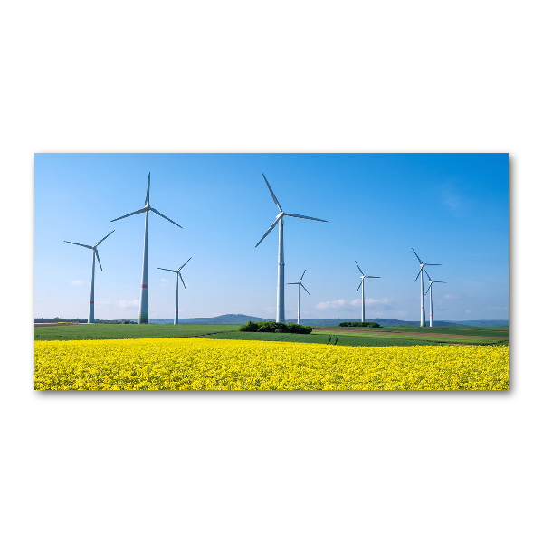 Tablou sticlă Windmills pe teren