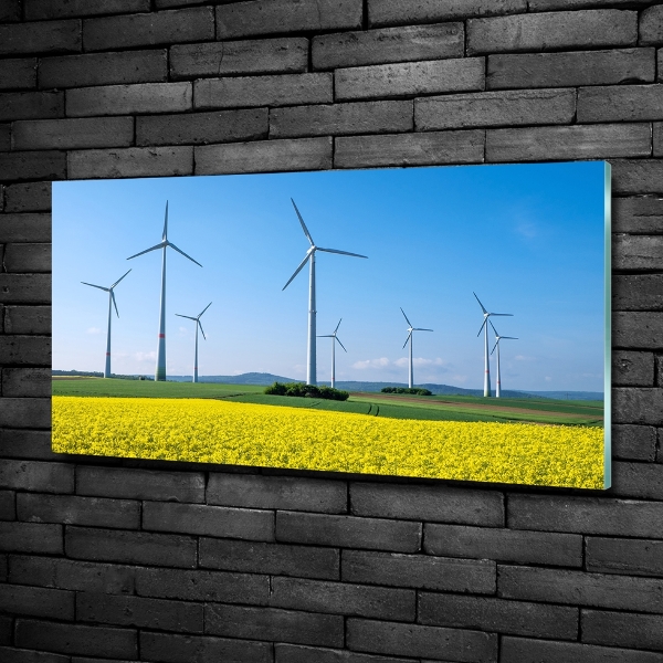 Tablou sticlă Windmills pe teren