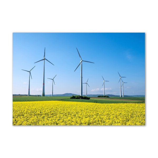 Tablou sticlă Windmills pe teren