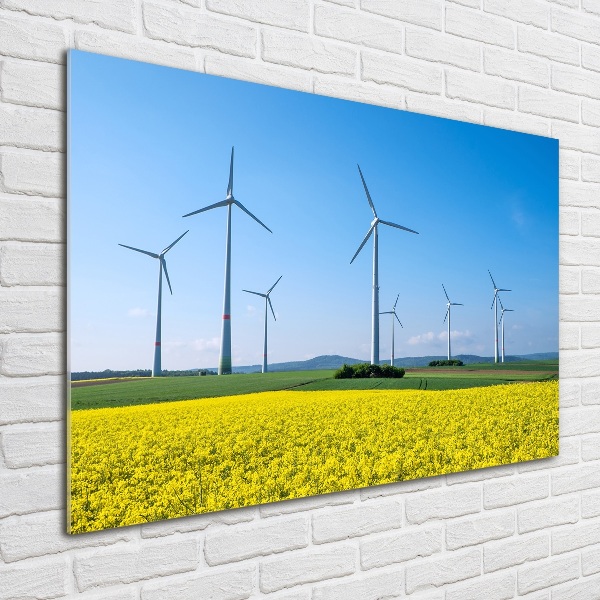 Tablou sticlă Windmills pe teren