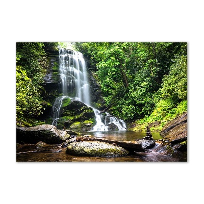 Tablou Printat Pe Sticlă Cascada din pădure