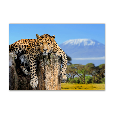 Tablou din Sticlă Leopard pe un ciot de copac