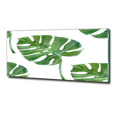 Imagine de sticlă Monstera