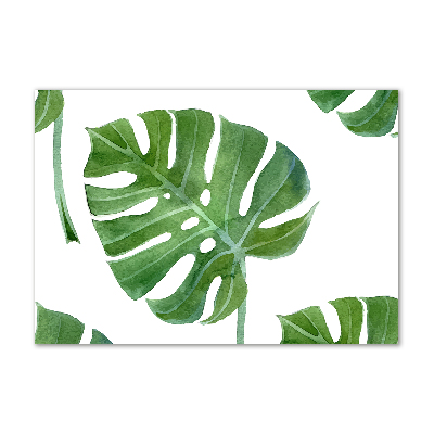 Imagine de sticlă Monstera