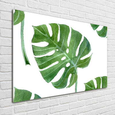 Imagine de sticlă Monstera