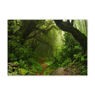 Tablou din Sticlă Jungle în Nepal