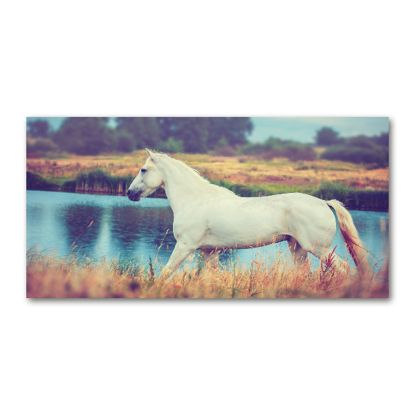 Imagine de sticlă White Lake Horse