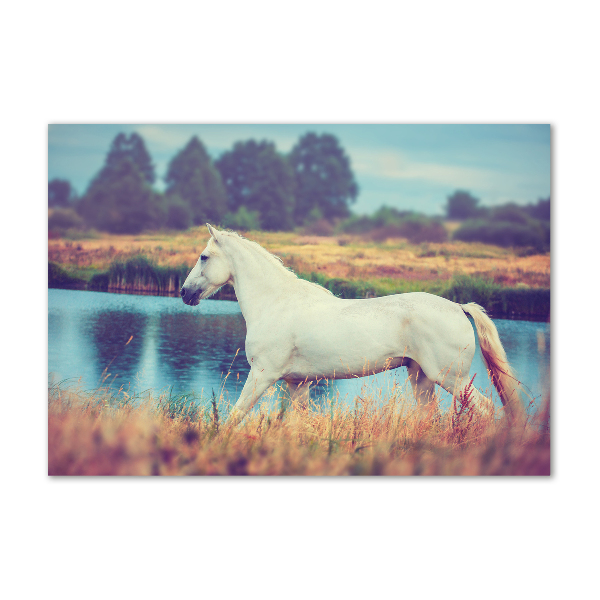 Imagine de sticlă White Lake Horse