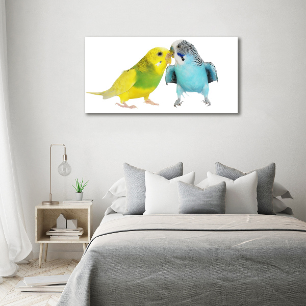 Tablou pe pe sticlă budgies