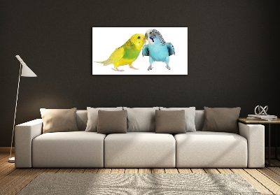 Tablou pe pe sticlă budgies