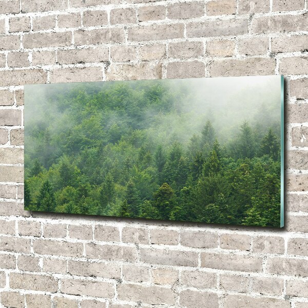 Fotografie imprimată pe sticlă pădure misterioasă