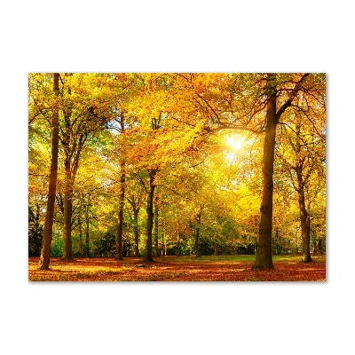 Tablou pe pe sticlă pădure în toamna