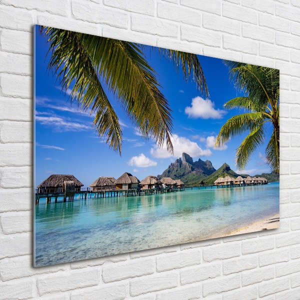 Fotografie imprimată pe sticlă Palmieri pe Bora Bora