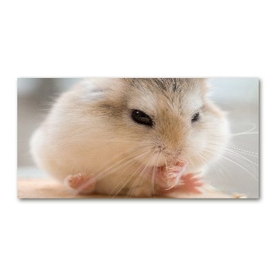 Tablou sticlă Hamster