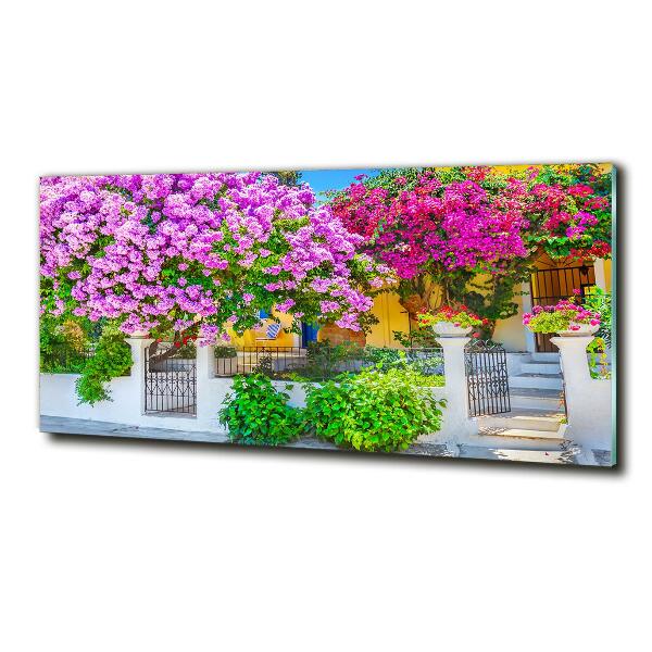 Fotografie imprimată pe sticlă Casa cu bougainvillea