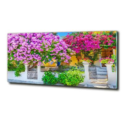 Fotografie imprimată pe sticlă Casa cu bougainvillea