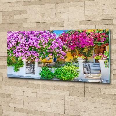 Fotografie imprimată pe sticlă Casa cu bougainvillea