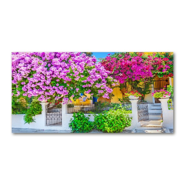 Fotografie imprimată pe sticlă Casa cu bougainvillea